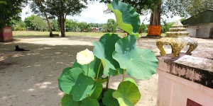 ๑๘. มตกภัตตชาดก ว่าด้วยสัตว์ไม่ควรฆ่าสัตว์
