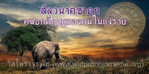 ๗๒. สีลวนาคชาดก คนอกตัญญูมองคนในแง่ร้าย