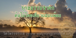 ๗๔. รุกขธรรมชาดก ต้นไม้โดดเดี่ยวย่อมแพ้ลม