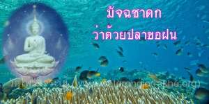 ๗๕. มัจฉชาดก ว่าด้วยปลาขอฝน