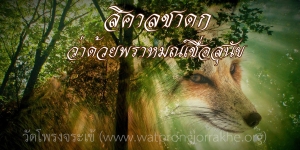 ๑๑๓. สิคาลชาดก ว่าด้วยพราหมณ์เชื่อสุนัข
