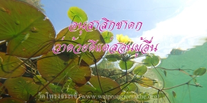 ๑๑๕. อนุสาสิกชาดก ว่าด้วยดีแต่สอนผู้อื่น
