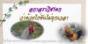 ๑๑๙. อกาลราวิชาดก ว่าด้วยไก่ขันไม่ถูกเวลา