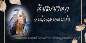 ๑๖๔. คิชฌชาดก ว่าด้วยสายตาแร้ง