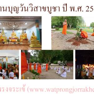 รวมกิจกรรมวันวิสาขบูชา 2562
